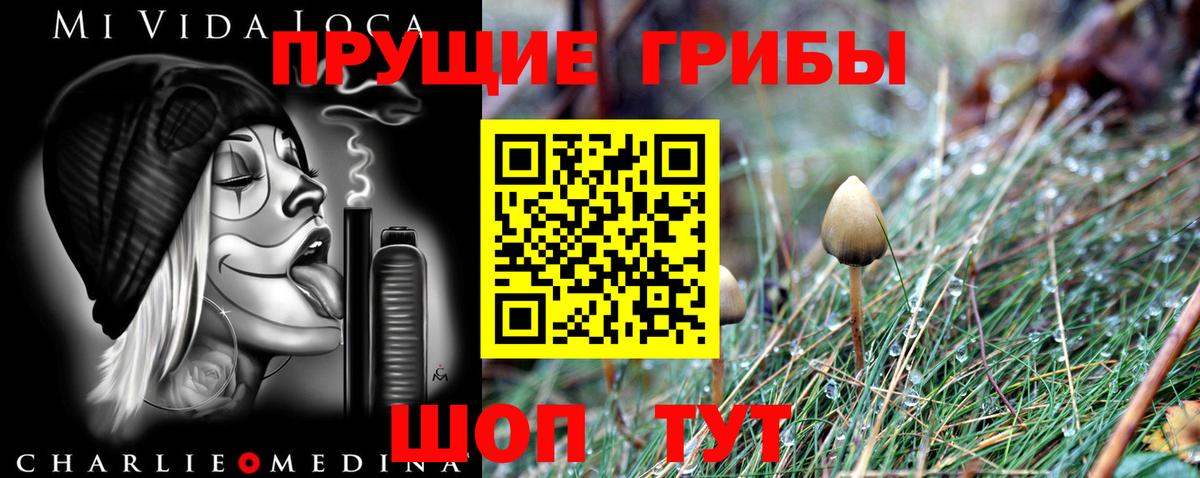 Алексин  Псилоцибиновые грибы Psilocybe  Галлюциногенные грибы мухоморы  закладка  Вход с VPN 